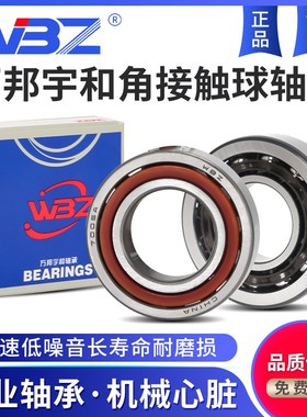 角接触轴承7008 7009 7010 7011 7012 7013 7014 7015ACM