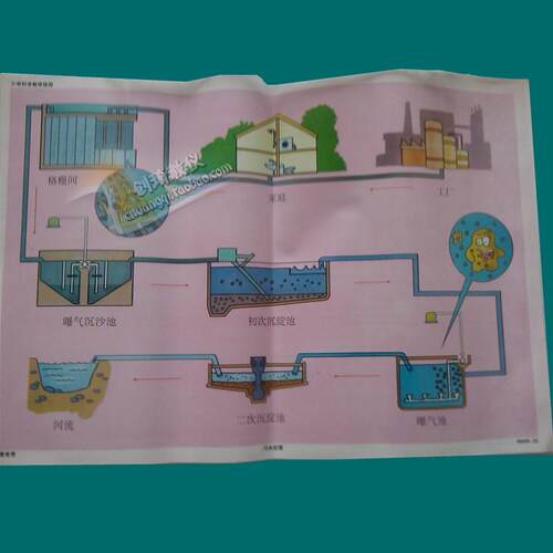 小学科学物质世界教学挂图(22幅)J59005 科普器材 教学仪器