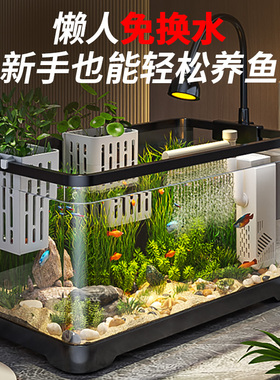 鱼缸客厅小型2025新款生态造景过滤制氧一体机家用自循环观赏鱼缸