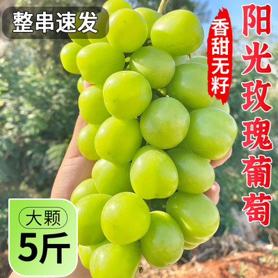云南阳光玫瑰葡萄晴王香印青提子大果顺丰包邮优选当季新鲜水果