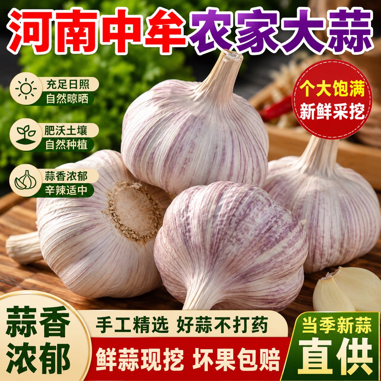 【产地直发】2026河南紫白皮中牟大蒜农家自种多瓣干蒜直发