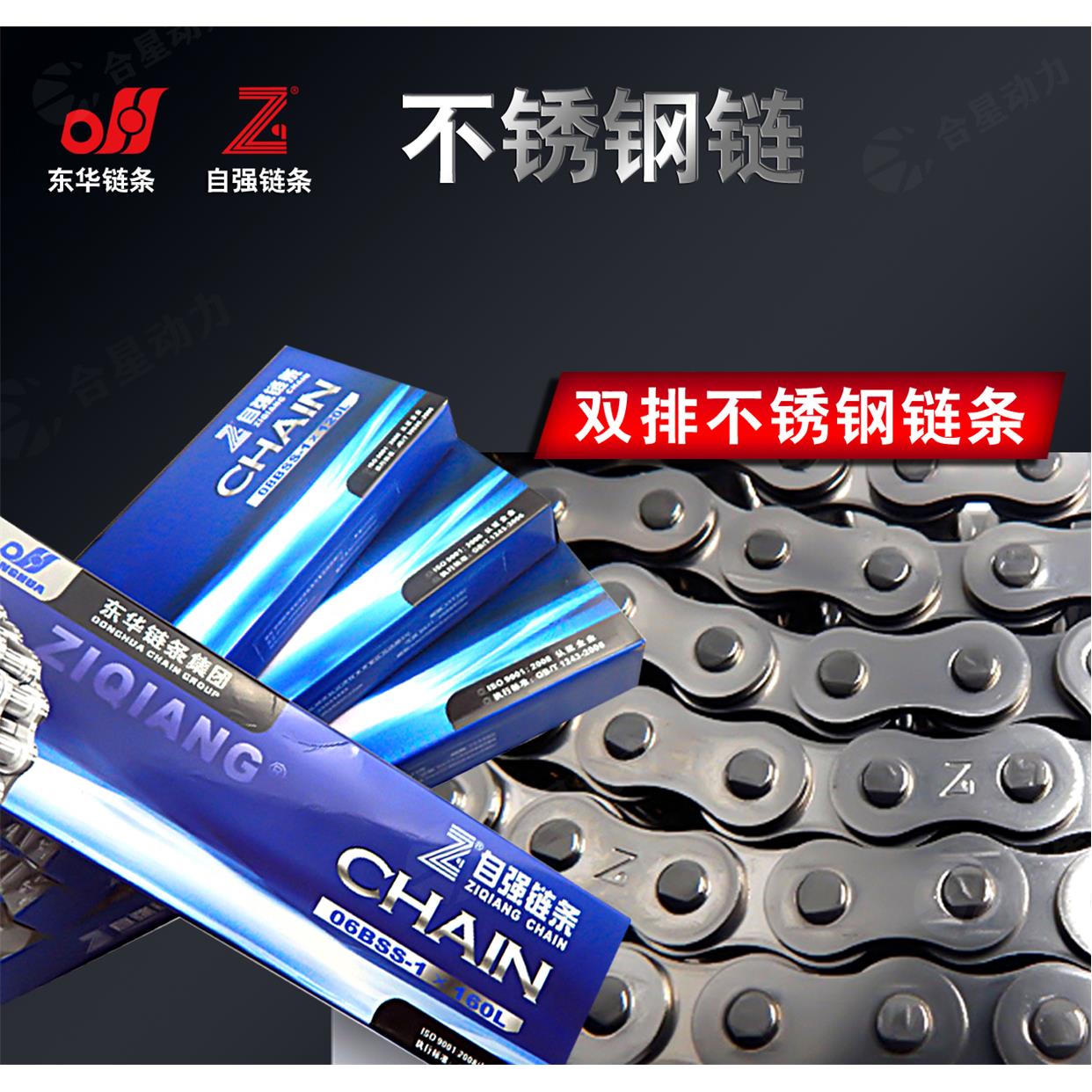 东华自强不锈钢链条06C06B08B10A24A双排机械传动滚子链输送链