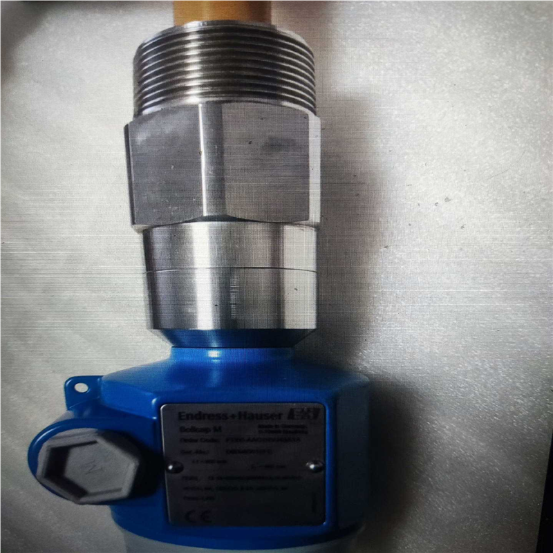 E+H FTI55-AAC2RVJ43A1A 恩德斯豪斯电容（憨憨电子）