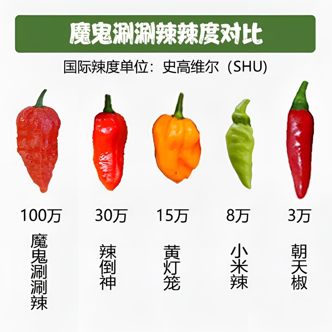 涮涮辣酱魔鬼辣椒油辣子特辣巨辣云南德宏特产变态辣火锅底料蘸料