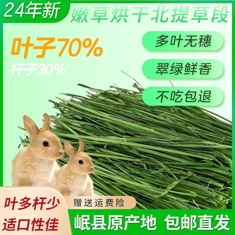 24年新鲜《精选头茬多叶》嫩绿兔子烘干干草兔子草提摩西草
