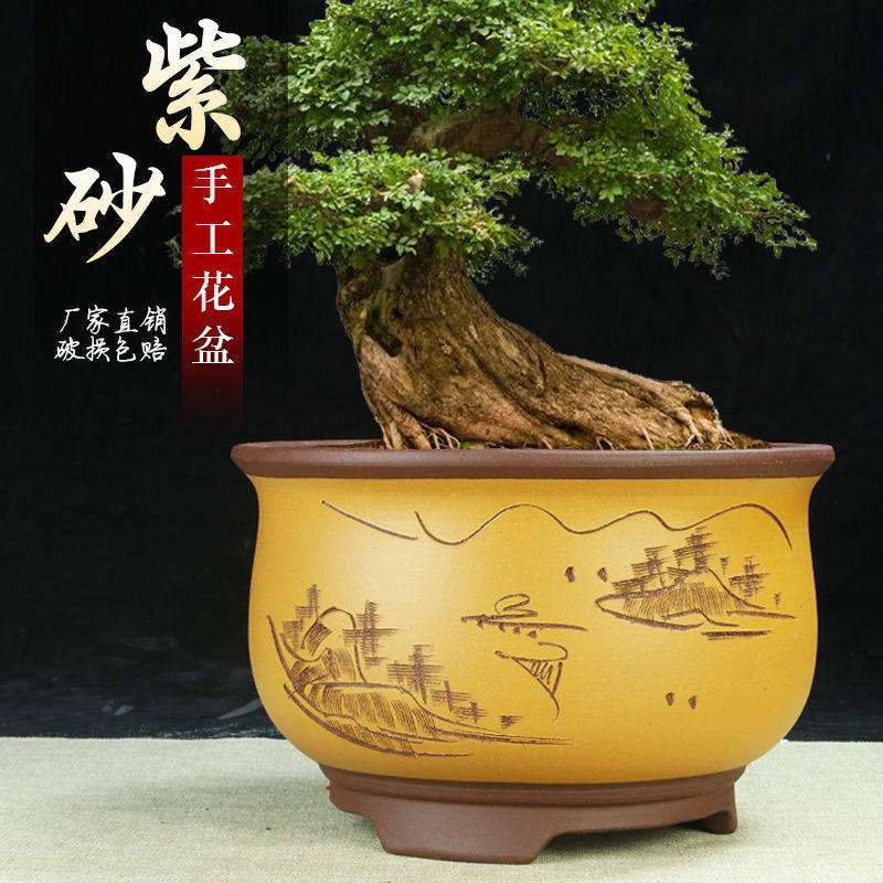 宜兴紫砂兰花盆特价清仓多肉陶瓷盆大口径圆口绿萝老桩绿植盆景盆