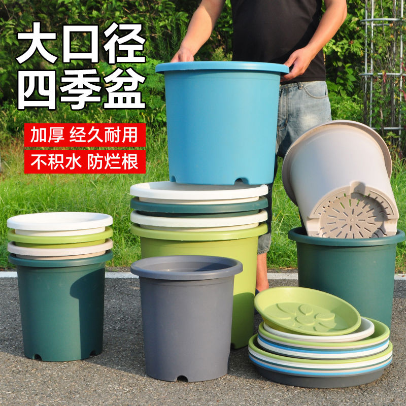 超大号口径树脂加厚花盆塑料6/7/15/25加仑盆耐用种果树月季大苗