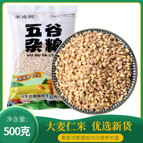 新鲜东北大麦仁米