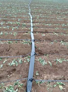 农棚INU滴灌带迷绿宫带蔬菜果园化滴水管节水灌溉膜大下滴管用N16