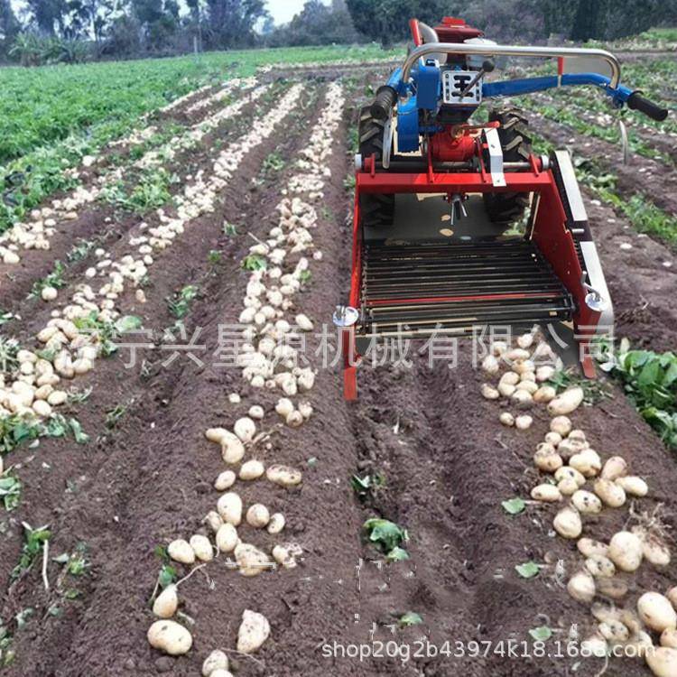 常州FBT柴油机扶旋耕机配套大秸秆还田机土豆收手获机棚果园翻土
