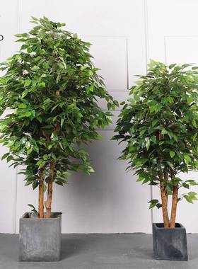 落地仿真绿盆栽真树QH-52116植仿真饰榕杆树室内装园林造景假树仿