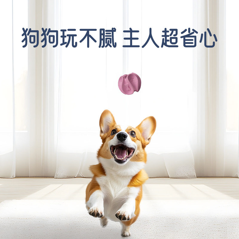 可爱新奇咬不烂球类狗玩具户外互