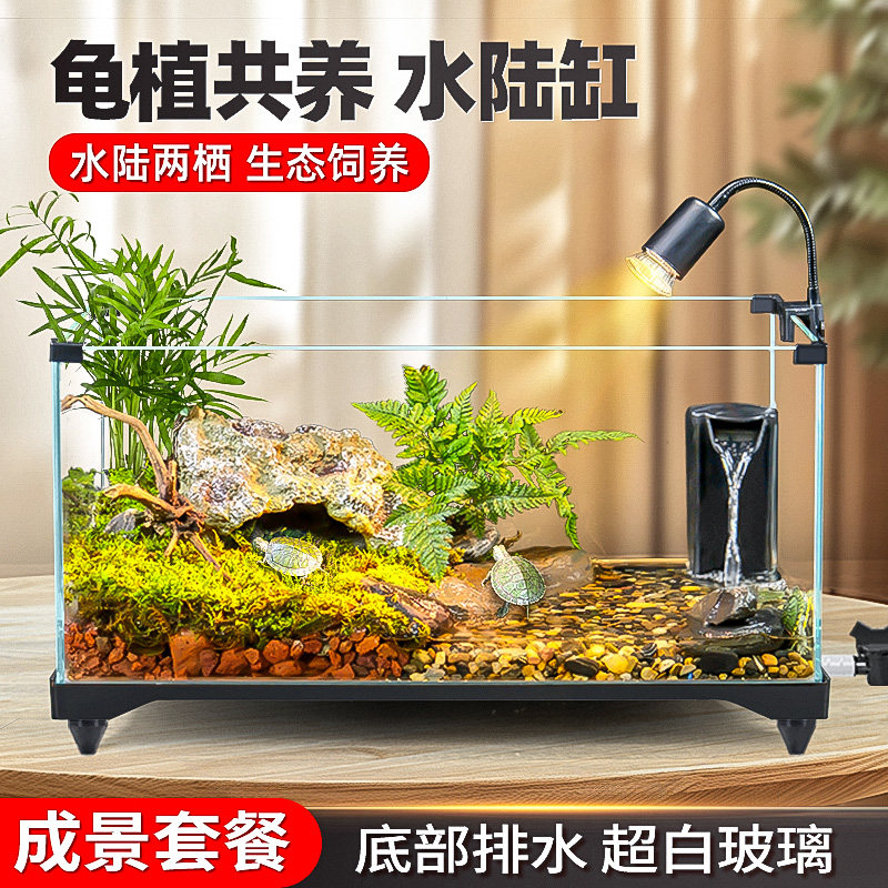 超白玻璃缸水路两栖原生微景观