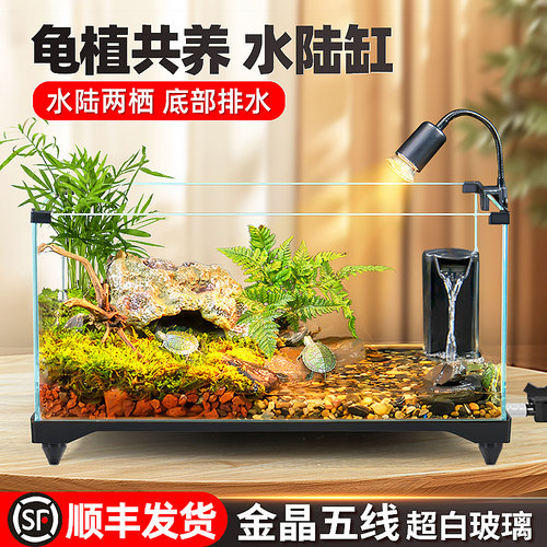 超白玻璃缸水路两栖原生微景观