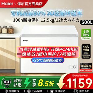 海尔冰柜300升家商两用冷藏冷冻