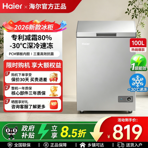 海尔新款冰柜100升小型家用冷柜