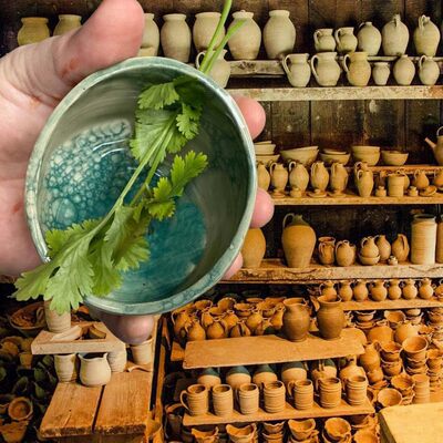 跨境新品 Pottery Herb Stripper Bowl 树脂香草剥离碗药草剥离器
