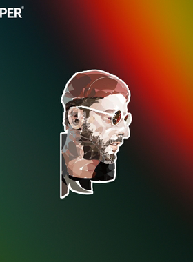 TLP反光车贴 这个杀手不太冷让雷诺汽车摩托车装饰贴