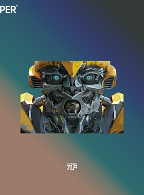 TLP反光车贴 变形金刚Transformers大黄蜂Bumblebee头像特写贴纸