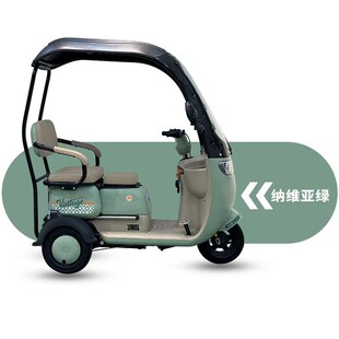 新款 目录车成人j女士老人接送孩子家用迷你一体车棚电动休闲三轮