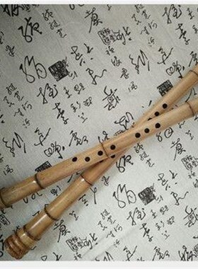 桂竹初学入门级南箫乐器演v奏南箫竹根箫八孔萧成人箫GFEA调