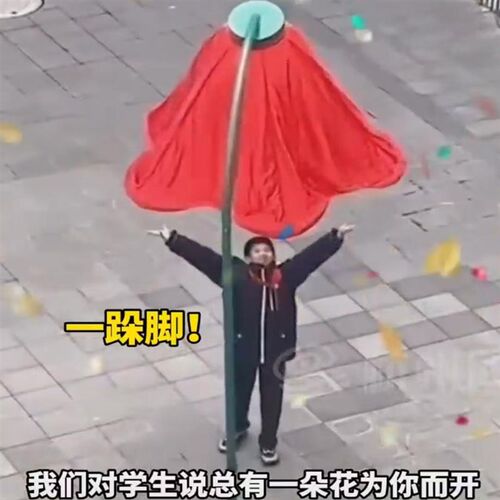 减压大红b花声控路灯学生释放压力互动装置学校喇叭花向日葵