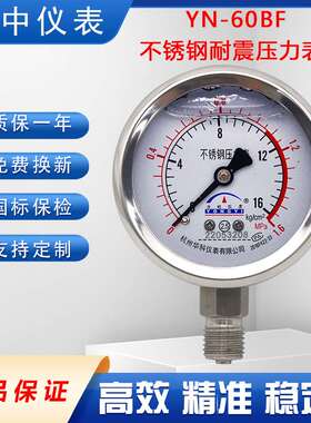 YN-60BF30液压油压气压防震动16公斤不锈钢耐震压力表耐压高压