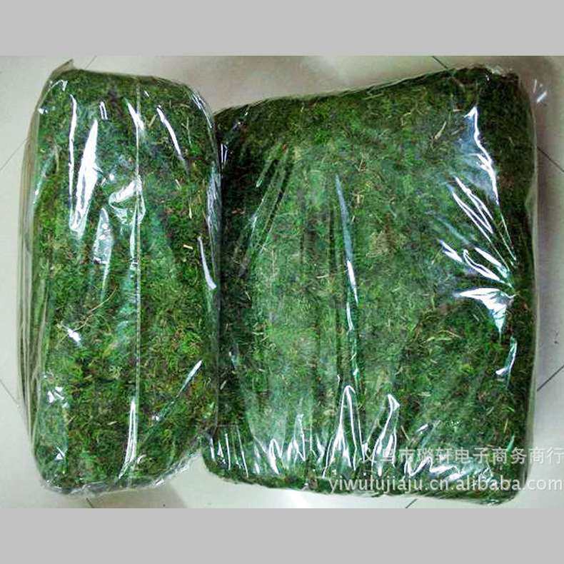 干青苔仿真青苔 苔藓园艺用品 干苔藓绿青苔盆栽插花辅料插花配件,鲜花速递/花卉仿真/绿植园艺,介质/营养土,淘宝优惠券,粉丝福利购,淘宝优惠卷