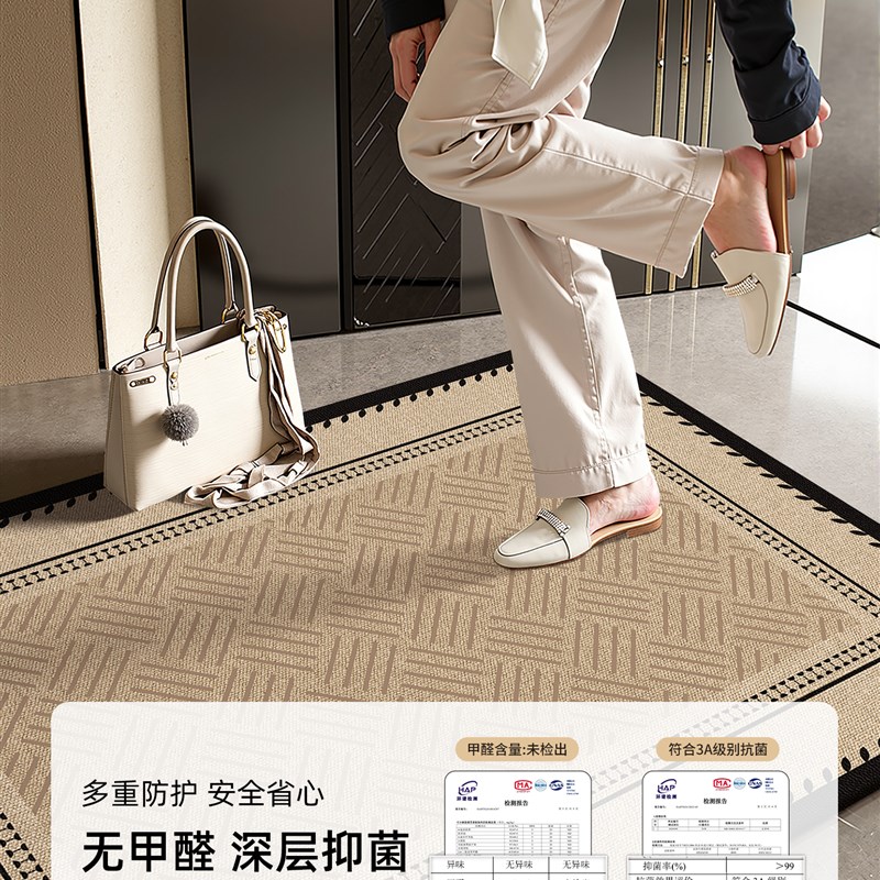 法式高级感入户门地垫20新款门口进门垫子玄关防滑耐脏免洗地毯