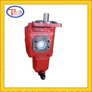 载机转向0泵41200F02519 X双联齿轮泵临工968V装 JP3100 201H0NIK