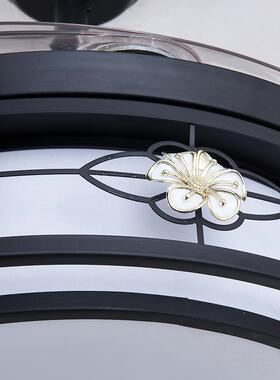 式全光谱新中静吊扇灯餐厅风灯客厅灯具S02，S06音带led灯扇家用