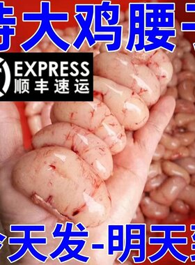 散养老公鸡腰子新鲜大号冷冻土鸡卵壮年滋补鸡宝鸡肾生鲜商用批发
