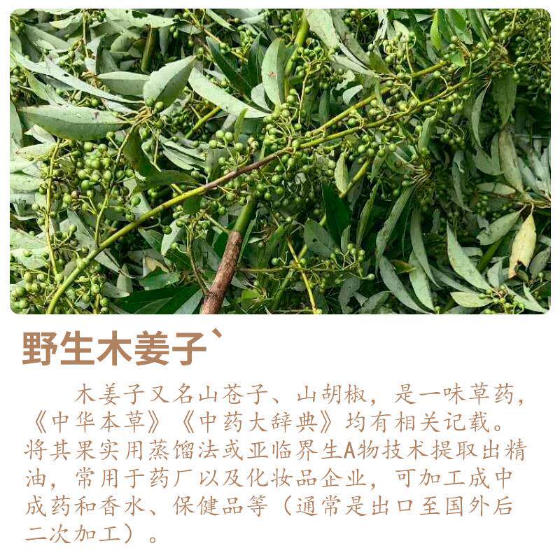 纯木姜籽精油1斤 贵州特产高浓度山胡椒调味油酸汤鱼火锅家用食用