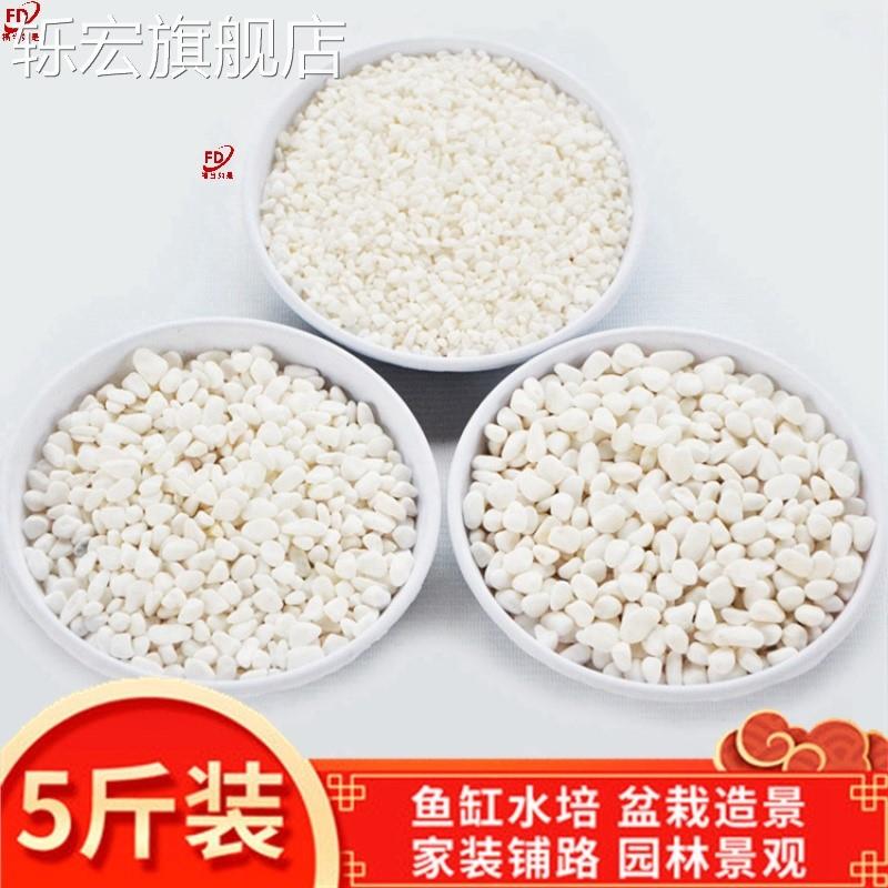 速发白色碎石铺白石米白色小石子鹅卵石雨花石花盆装饰纯院子石头