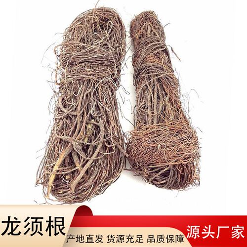 速发生态雨藤缸造景龙须根淋条水陆缸细化装饰植物墙藤美根榕树须
