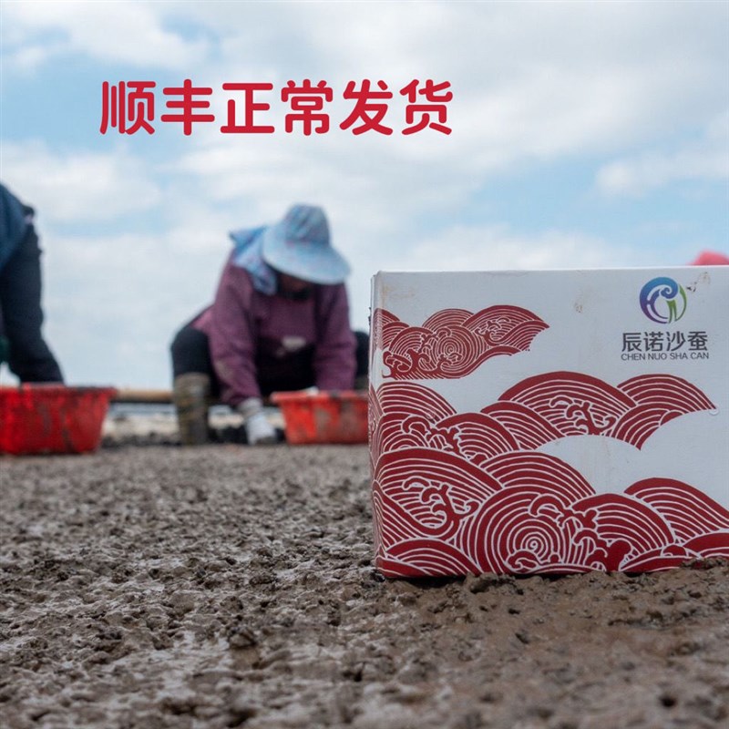 现货速发全国活沙蚕海钓饵海蜈蚣海蚯蚓活饵海蚂蝗青虫红虫沙