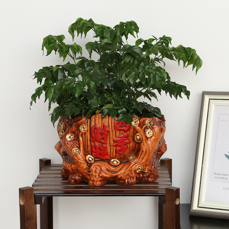 现货速发复古陶瓷花盆坚持奋斗拼搏发财树文竹幸福树个性创意桌面