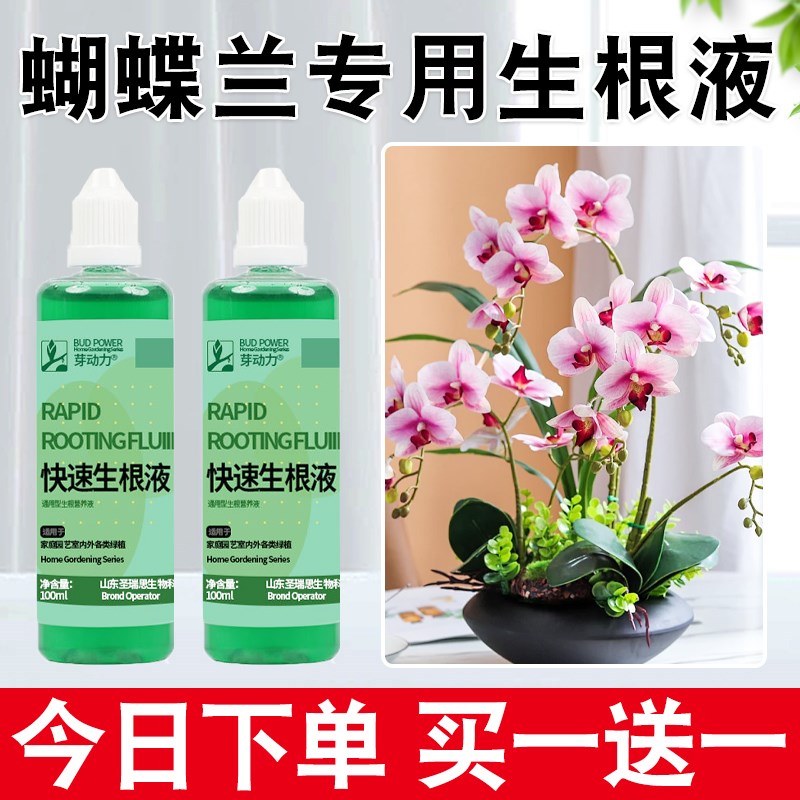 速发蝴蝶花快速生根液扦插移栽兰壮苗水花营通用型植物肥养液