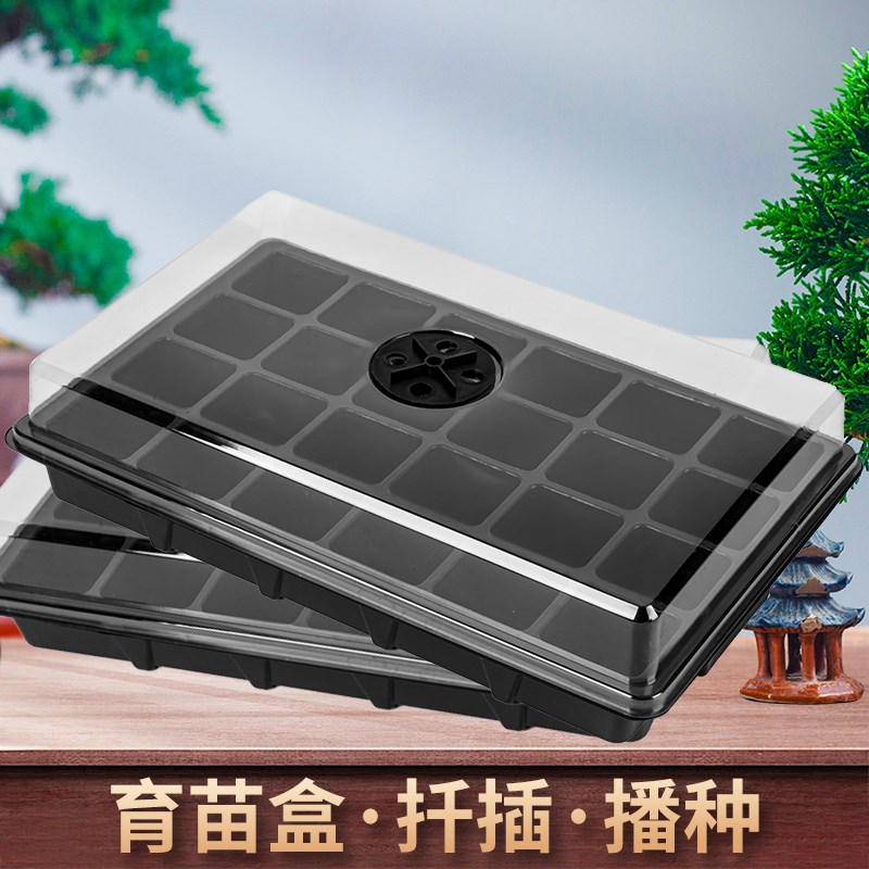 速发家播园艺育苗箱大号高盖穴盘多肉盆景苗木扦庭植物插种育苗闷