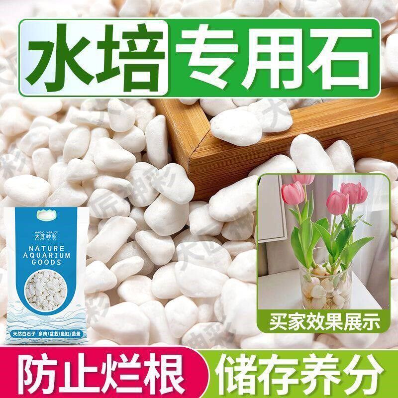 速发水培养花专用白石子盆栽多肉铺面石鹅卵石雨花石鱼缸造景底部