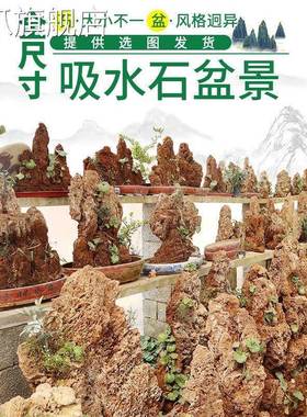 速发吸水石盆景上水石假山石奇石鱼缸造景家居装饰水秀石头奇石小