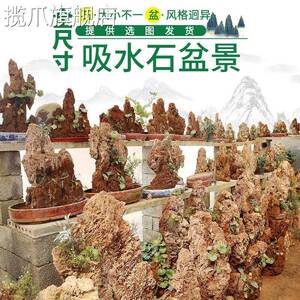 速发吸水石盆景上水石假山石奇石鱼缸造景家居装饰水秀石头奇石小