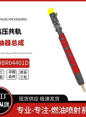 EJBR04401D喷油器总成A6650170221适用于双龙 REXTON 2.7 Xdi优质