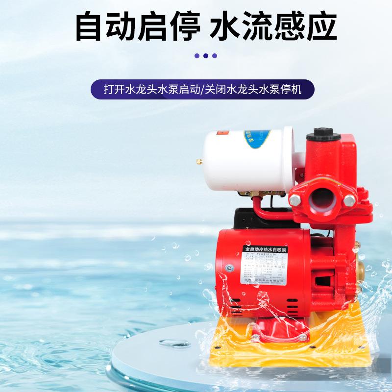 厂直EVZ供离家心泵4G0WR-20冷热水自吸增压供泵冷热水自吸水增压