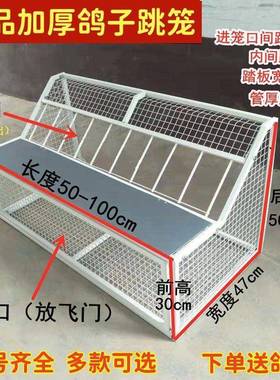 UTM鸽口子跳笼用子用品具信鸽赛鸽踏板撞门鸽草窝跳笼鸽舍进放飞