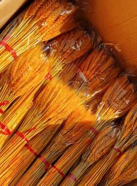 开业麦黄色大麦穗万干花一箱00916把一支装1花店花艺用品