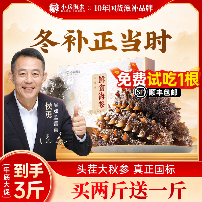 【头茬秋参厂家大促】小兵鲜食海参独立包装不注水不挂冰开袋即食