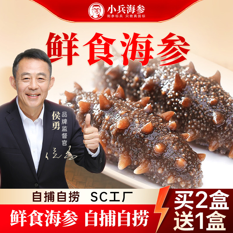 【买二送一】小兵海参鲜食海参|不挂冰开袋即食3盒尝鲜装高性价比
