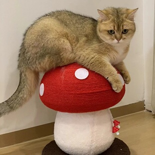 猫抓板耐磨不掉屑可爱红伞伞蘑菇猫爬架柱立式剑麻款猫咪磨爪玩具