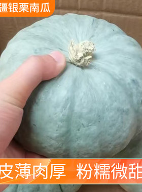 正宗新疆银栗大南瓜当季新鲜粉糯